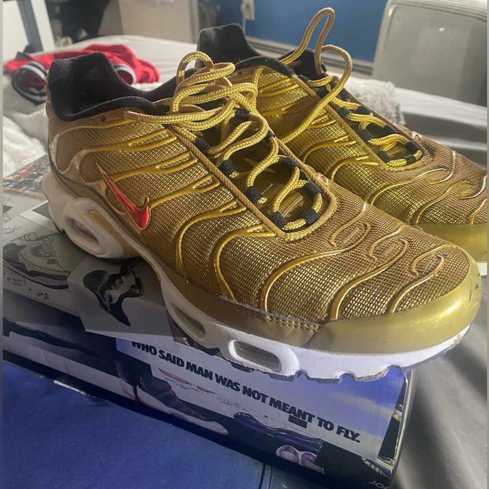 Size 10.5 nikes ( price negotiable )